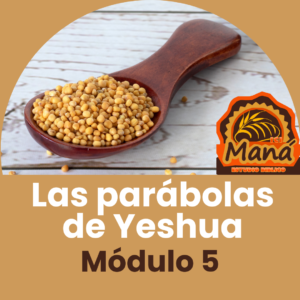 Las parabolas de yeshua
