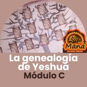 La genealogia de Yeshúa